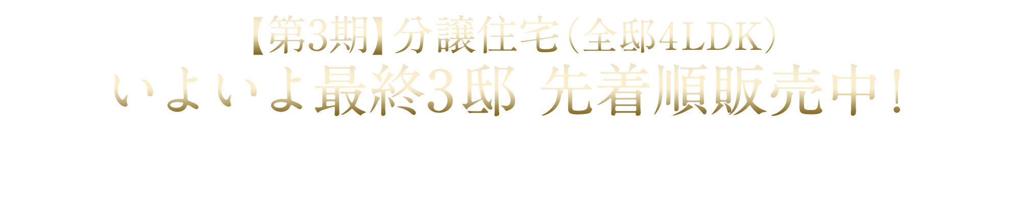 【第3期】分譲住宅（全邸4LDK）いよいよ最終3邸　先着順販売中！