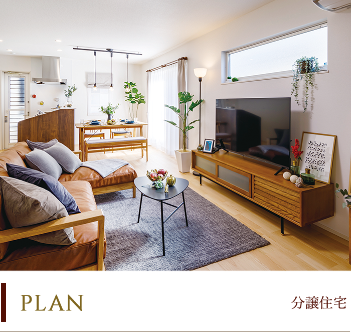 分譲住宅