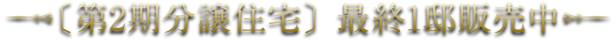 2期分譲住宅 最終1邸販売中