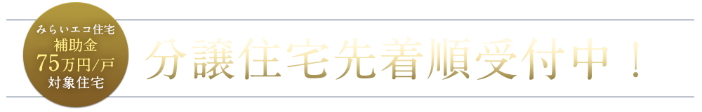 分譲住宅先着順受付中！ 