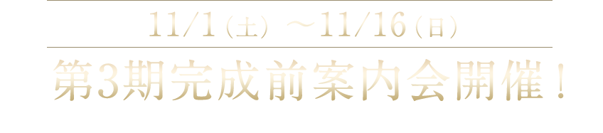 【第3期完成前案内会開催！