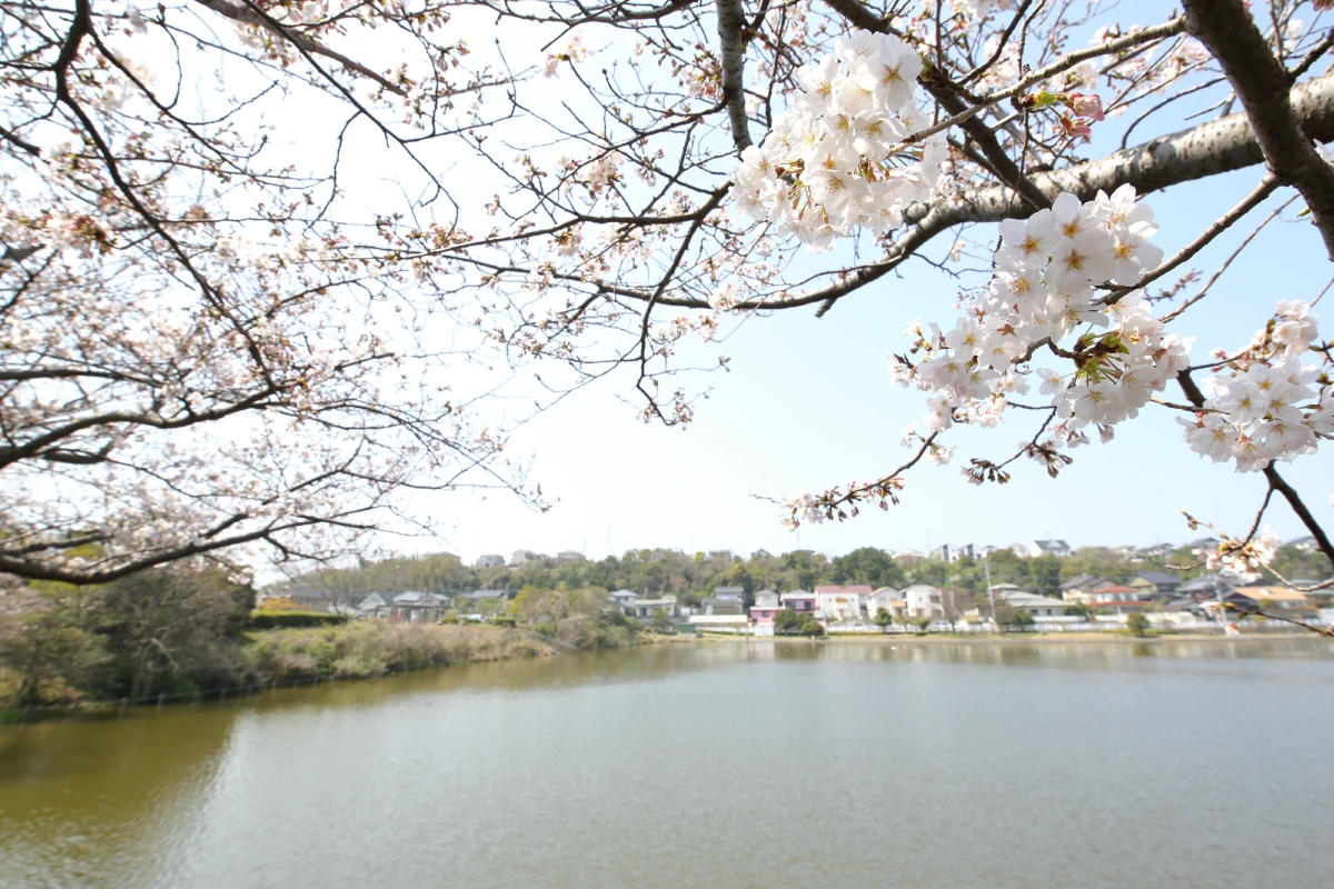四季折々の景色が美しい四十ヶ浦池