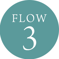 FLOW3