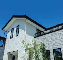 ELEGANT　サムネイル画像