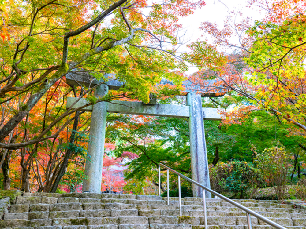 竈門神社(提供:pixta.jp)