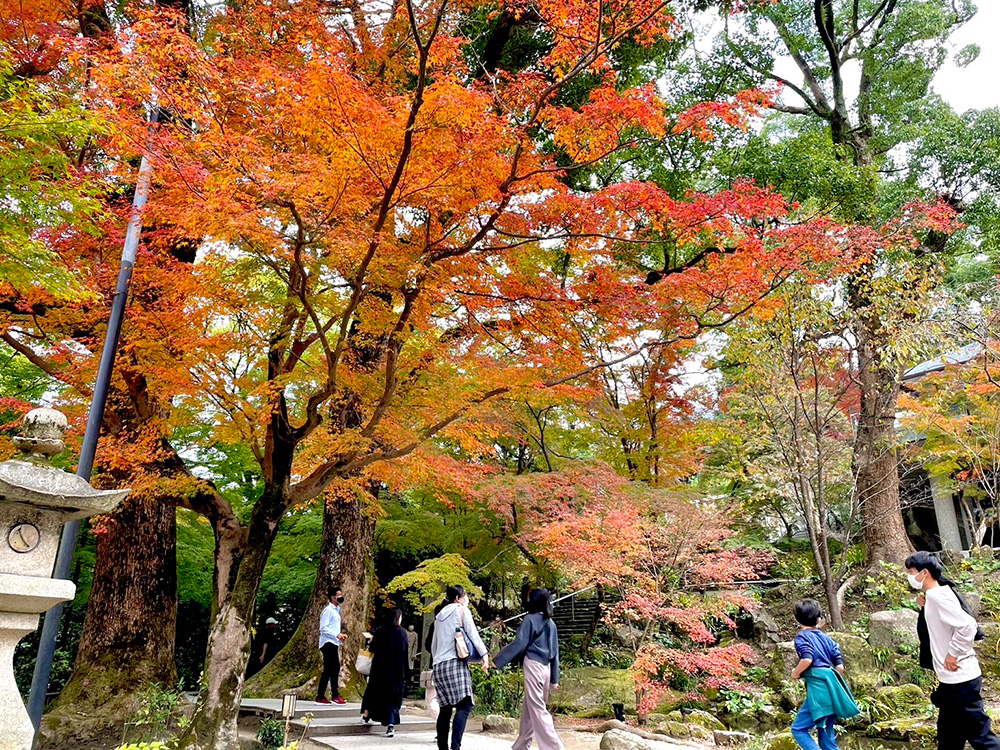 竈門神社