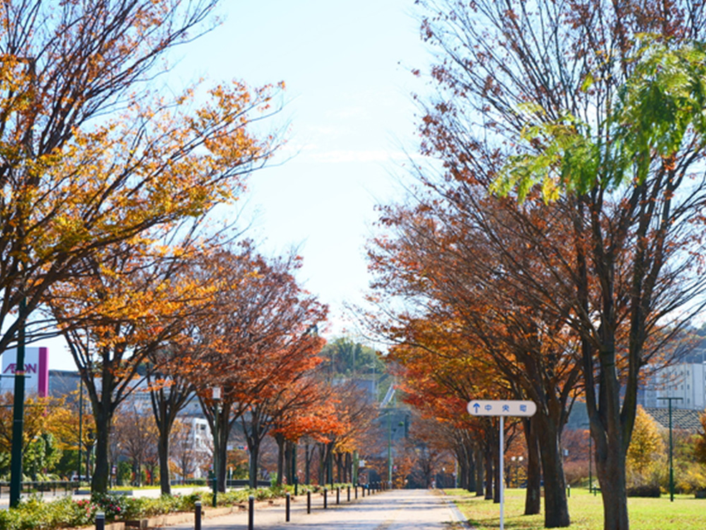 東田大通り公園（提供：pixta.jp）