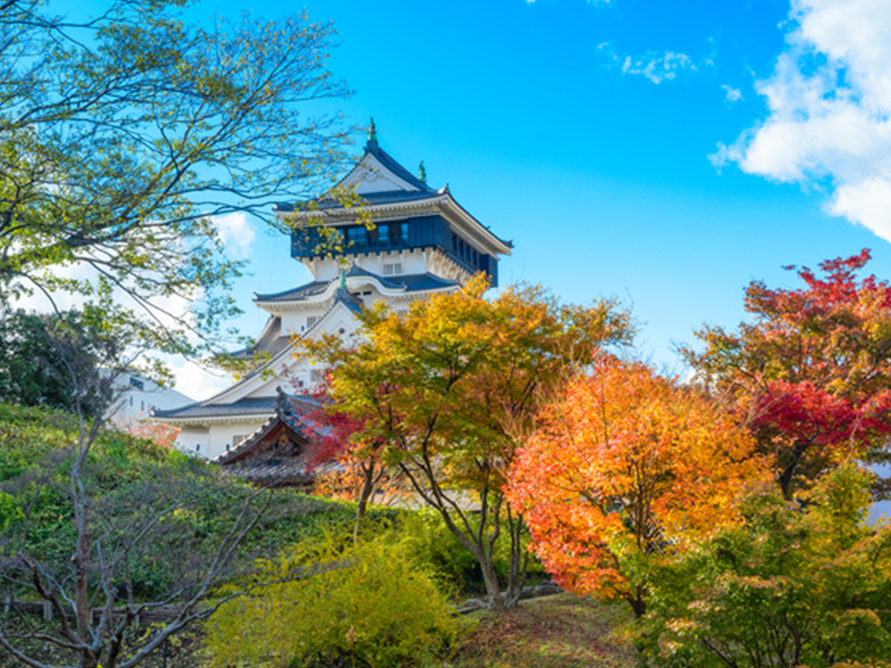 小倉城(提供:pixta.jp)