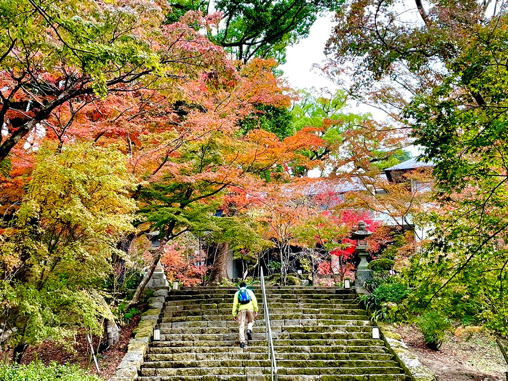 竈門神社