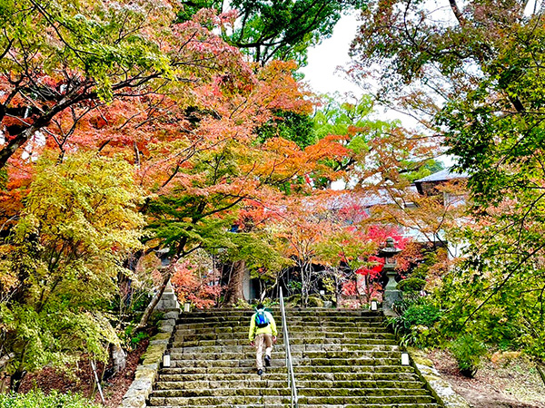 秋と言えば・・・。行楽シーズンにもってこいの「紅葉」スポットをご紹介！