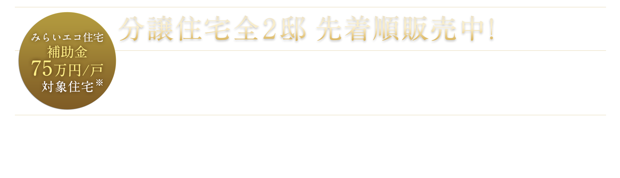 分譲住宅全２邸先着順販売中！【補助金】申請期限あり。予算上限に達し次第終了。お早めにご見学下さい！　