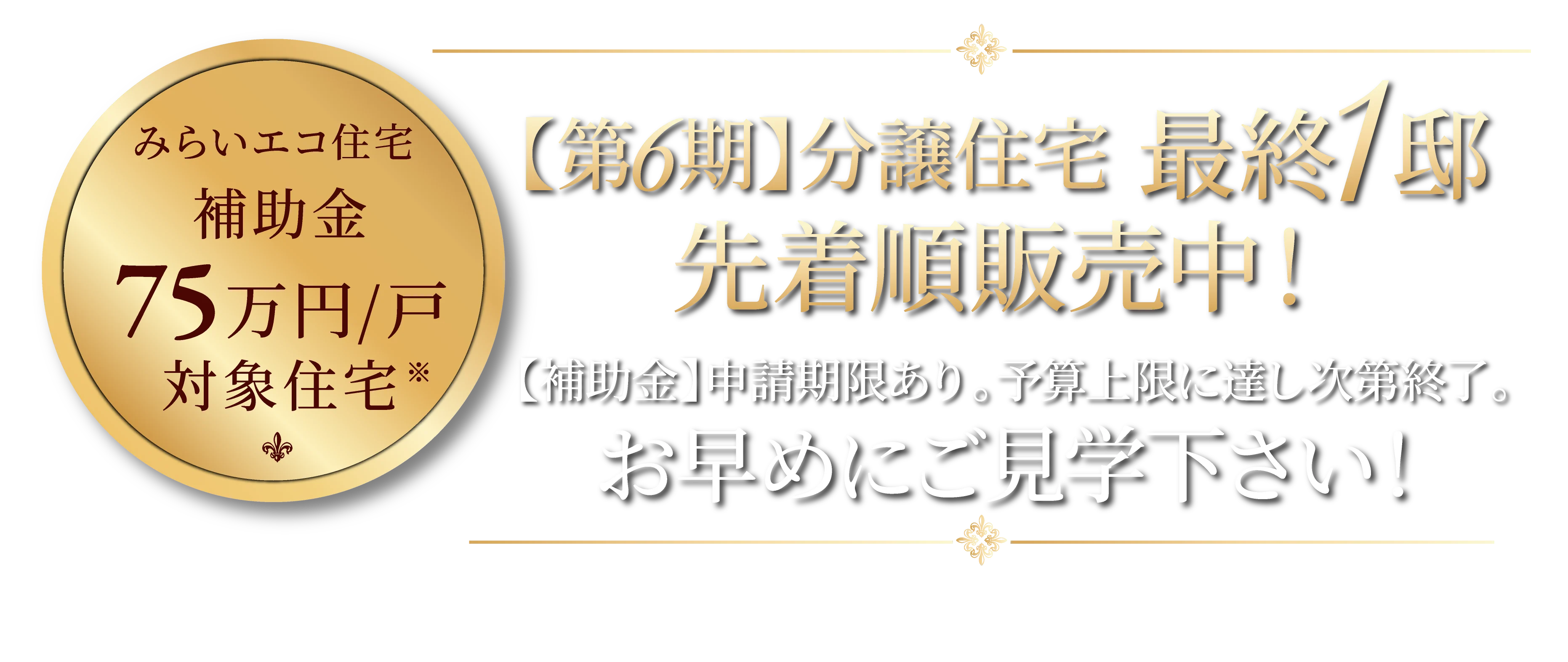 第5期分譲住宅 完売御礼！　みらいエコ住宅補助金 75万円/戸 対象住宅　第6期分譲住宅　最終1邸　先着順販売開始
